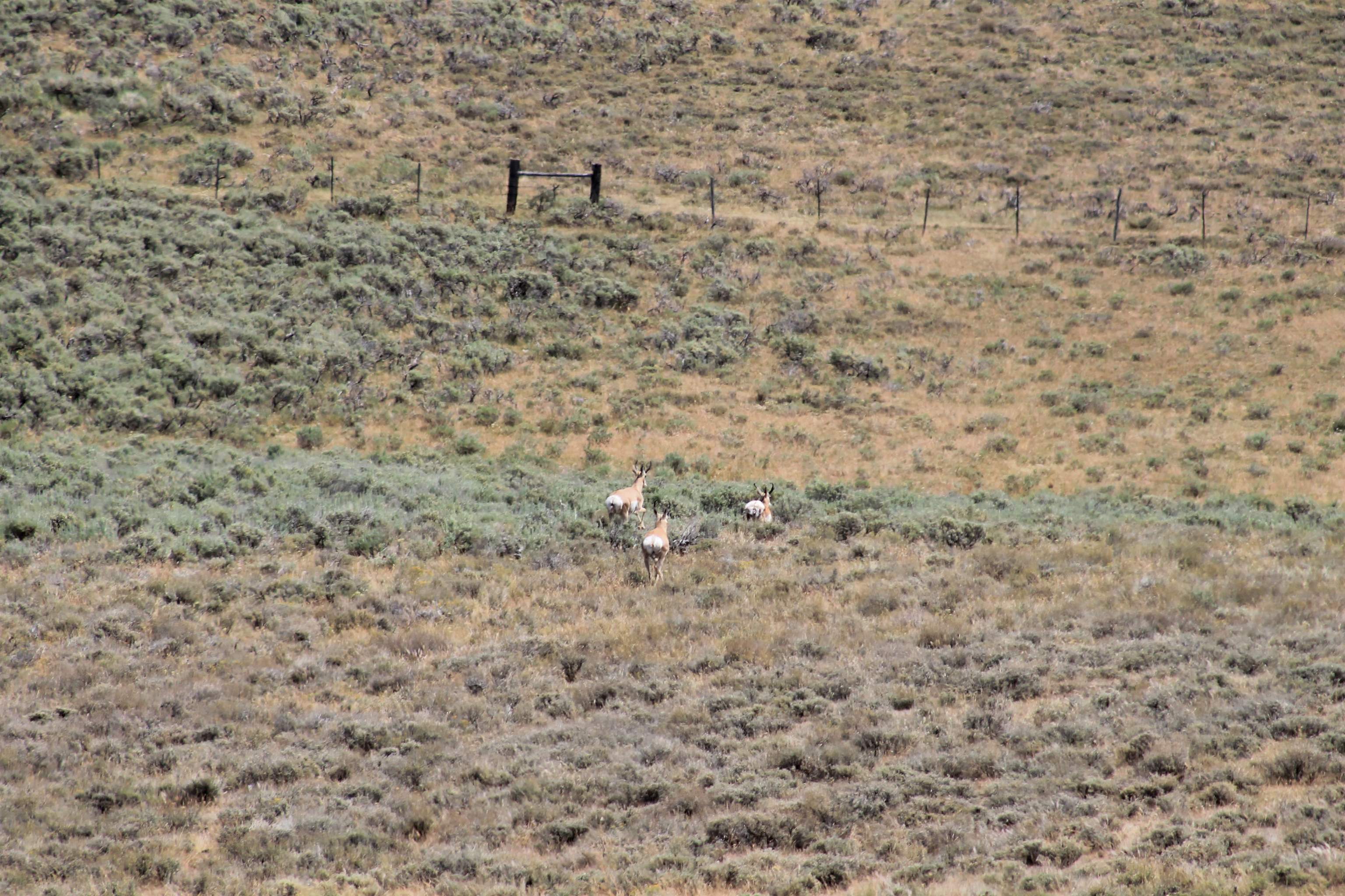 0 County Road 305 Kemmerer, WY 83101 - Photo 29 of 50