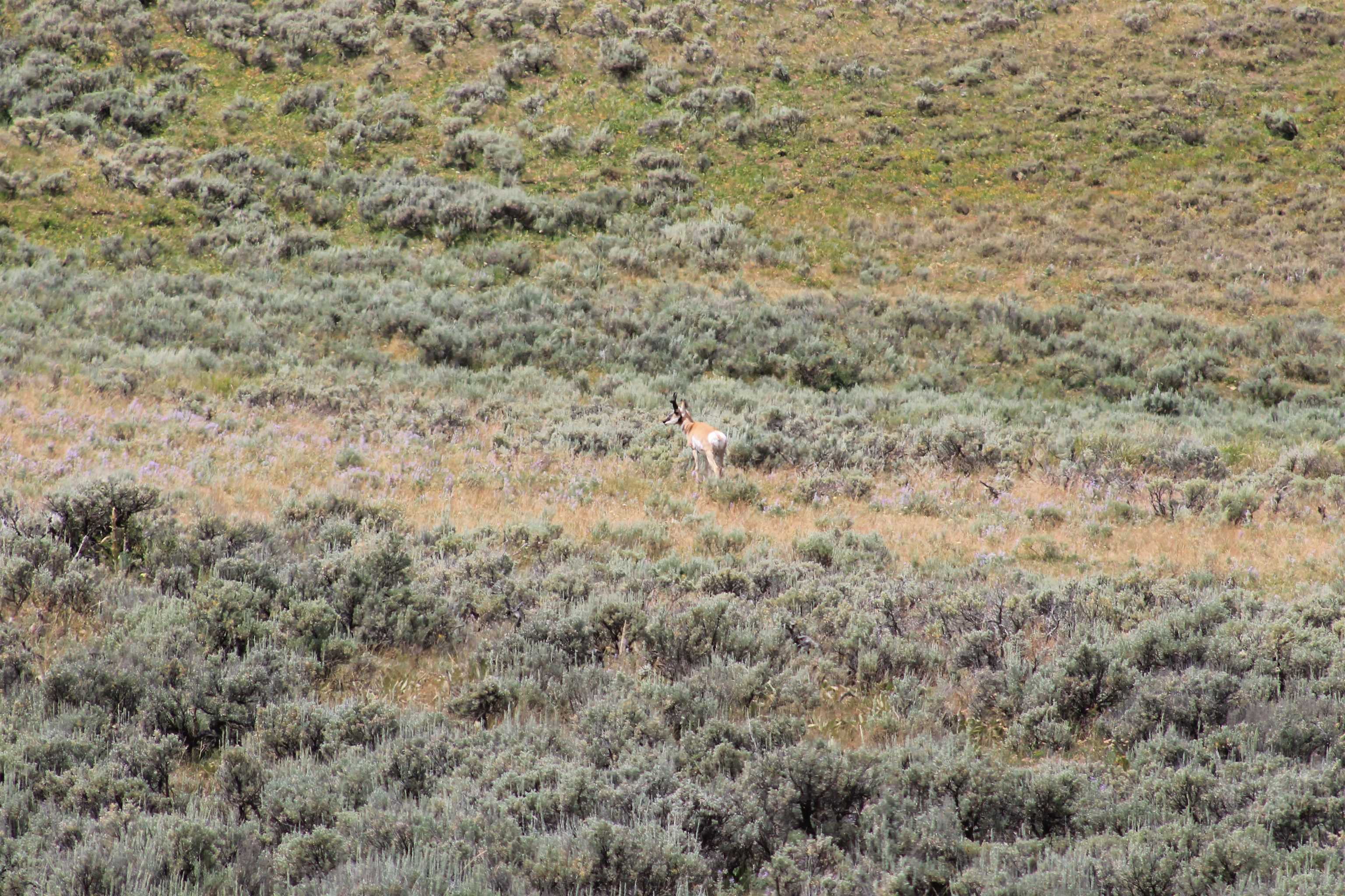0 County Road 305 Kemmerer, WY 83101 - Photo 31 of 50