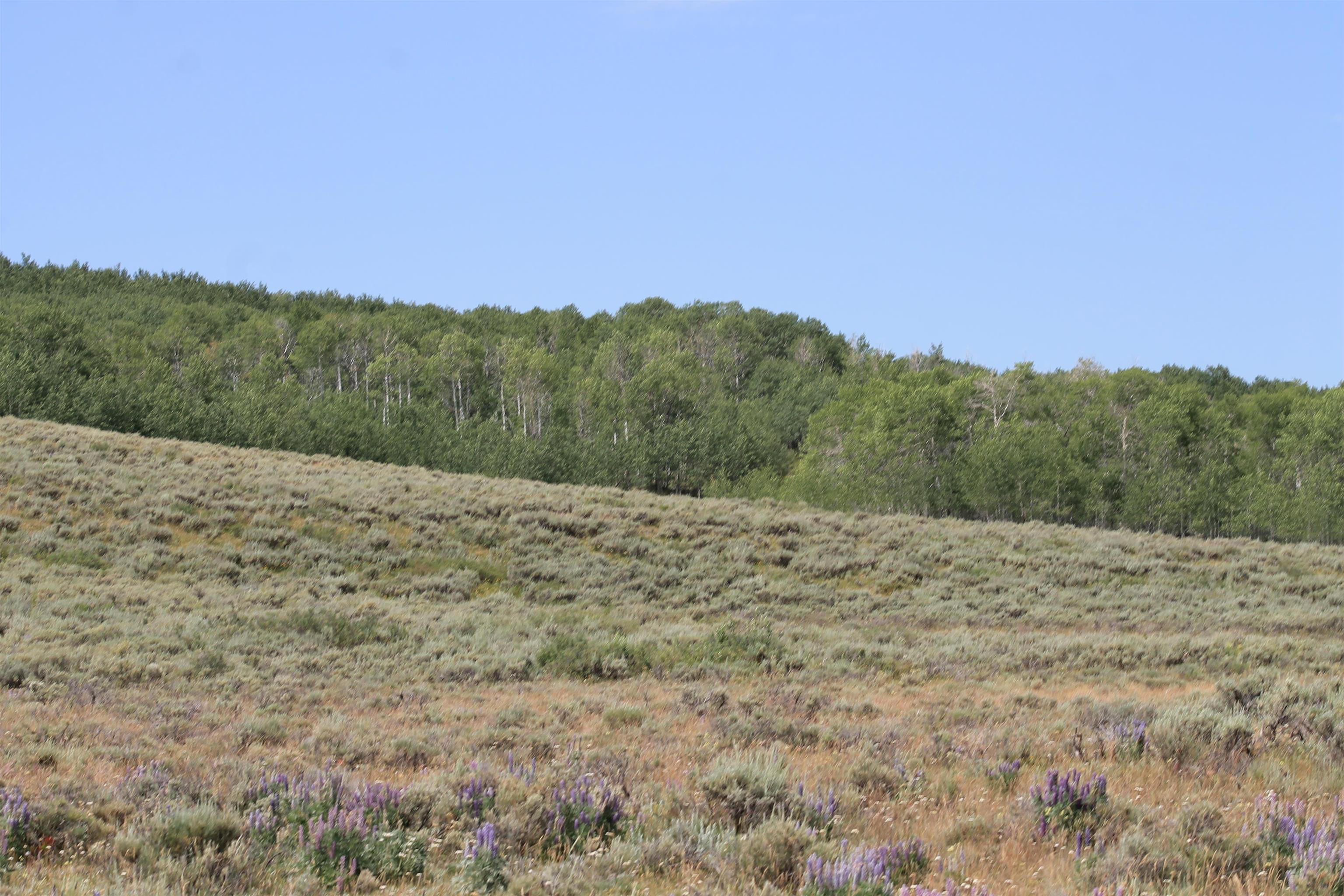 0 County Road 305 Kemmerer, WY 83101 - Photo 32 of 50
