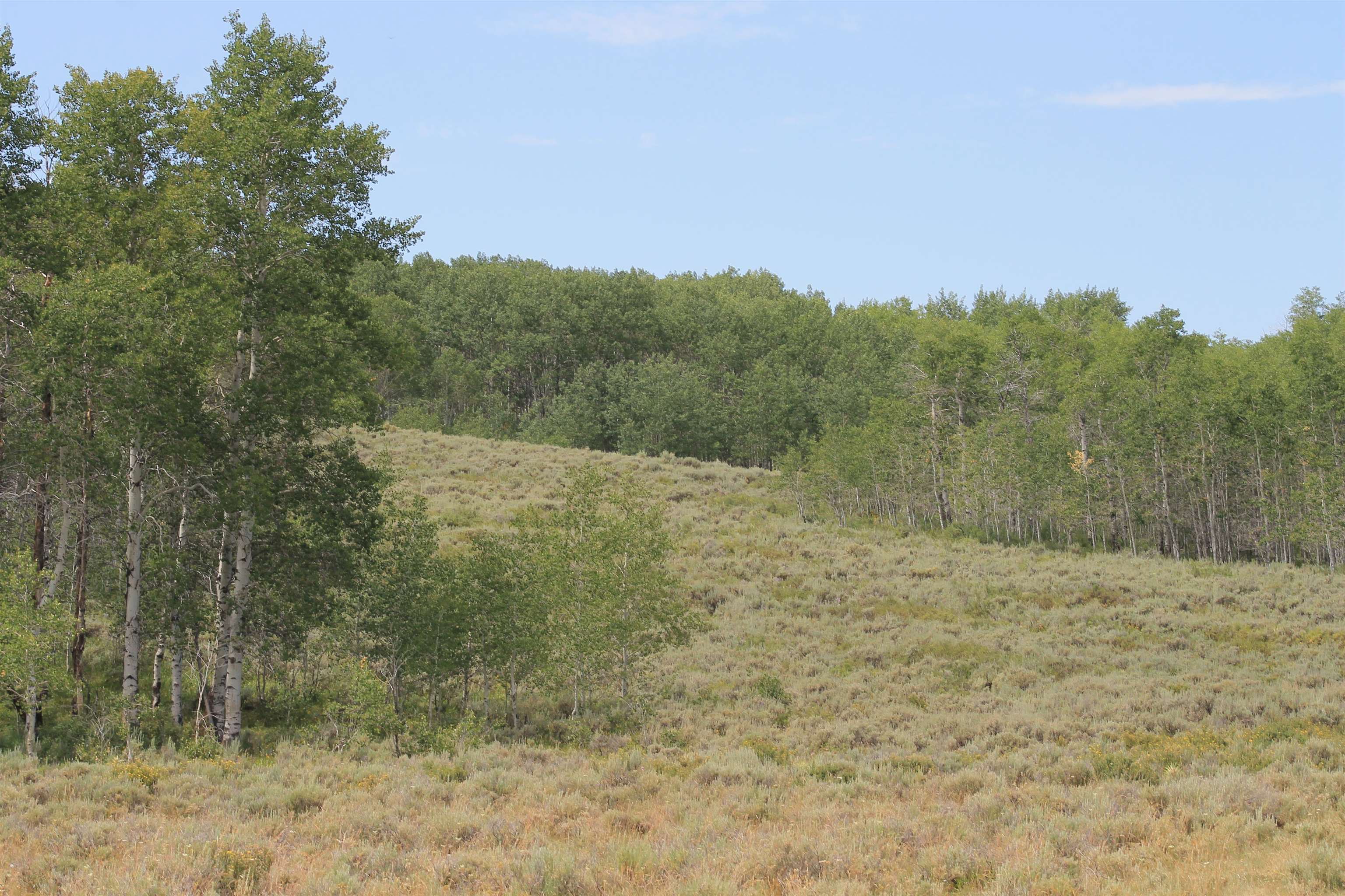 0 County Road 305 Kemmerer, WY 83101 - Photo 35 of 50