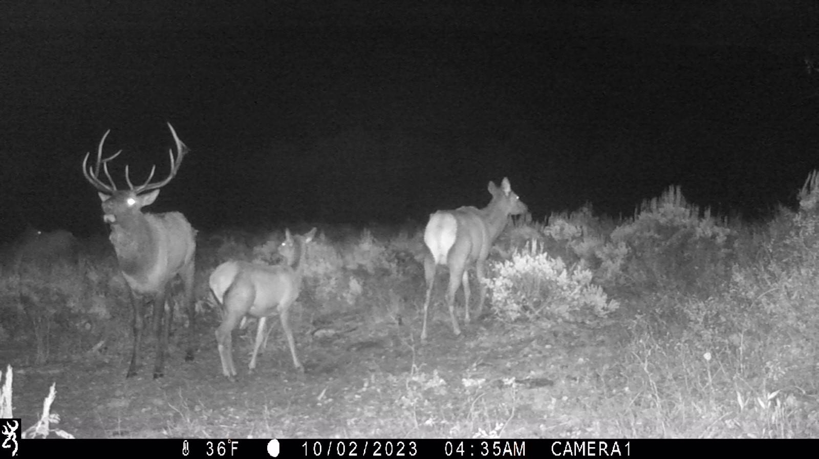 0 County Road 305 Kemmerer, WY 83101 - Photo 37 of 50