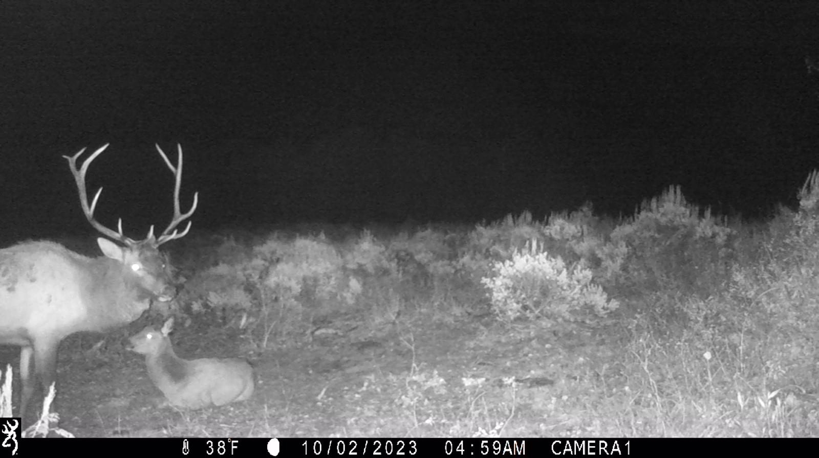 0 County Road 305 Kemmerer, WY 83101 - Photo 38 of 50