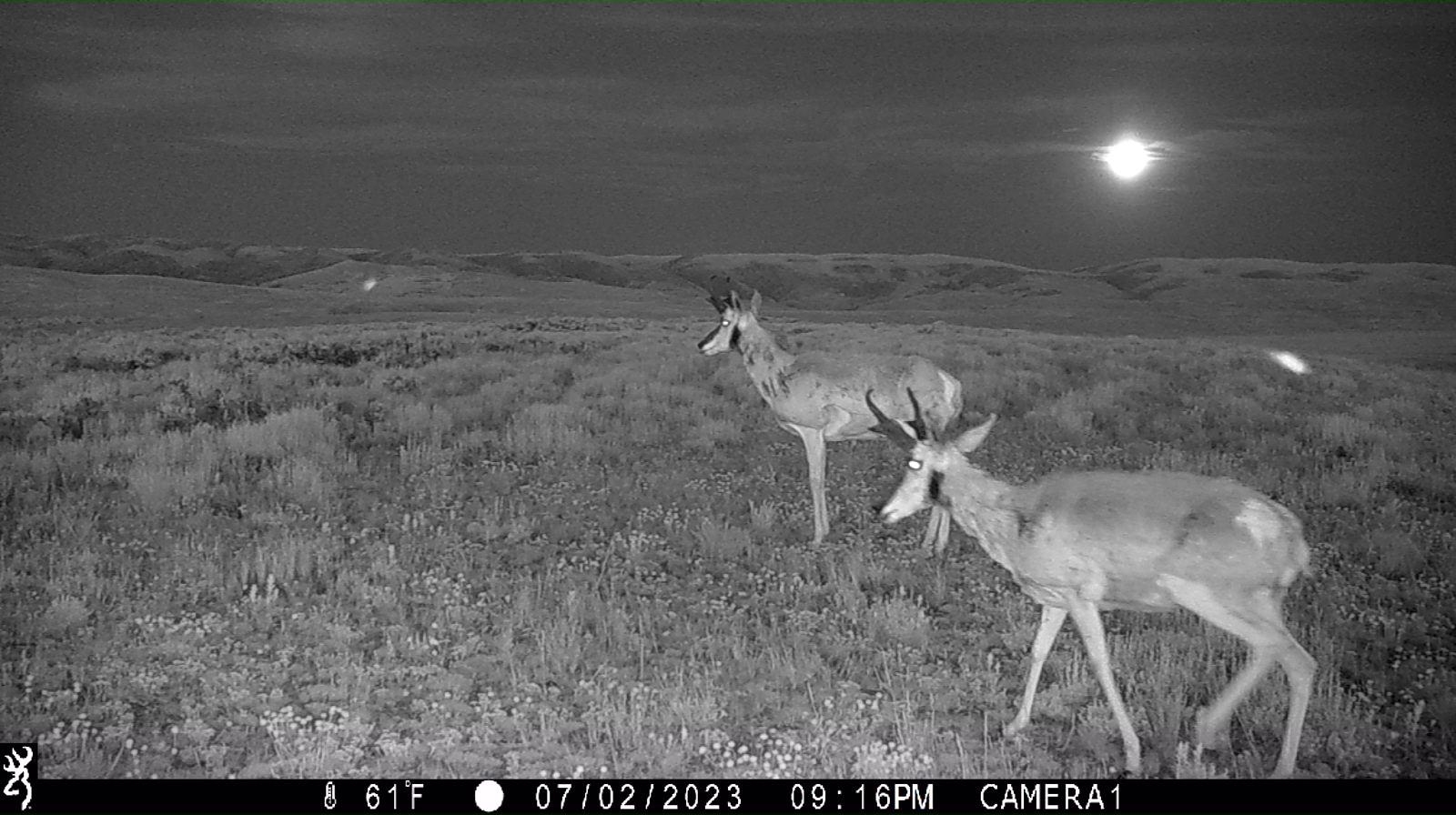 0 County Road 305 Kemmerer, WY 83101 - Photo 39 of 50