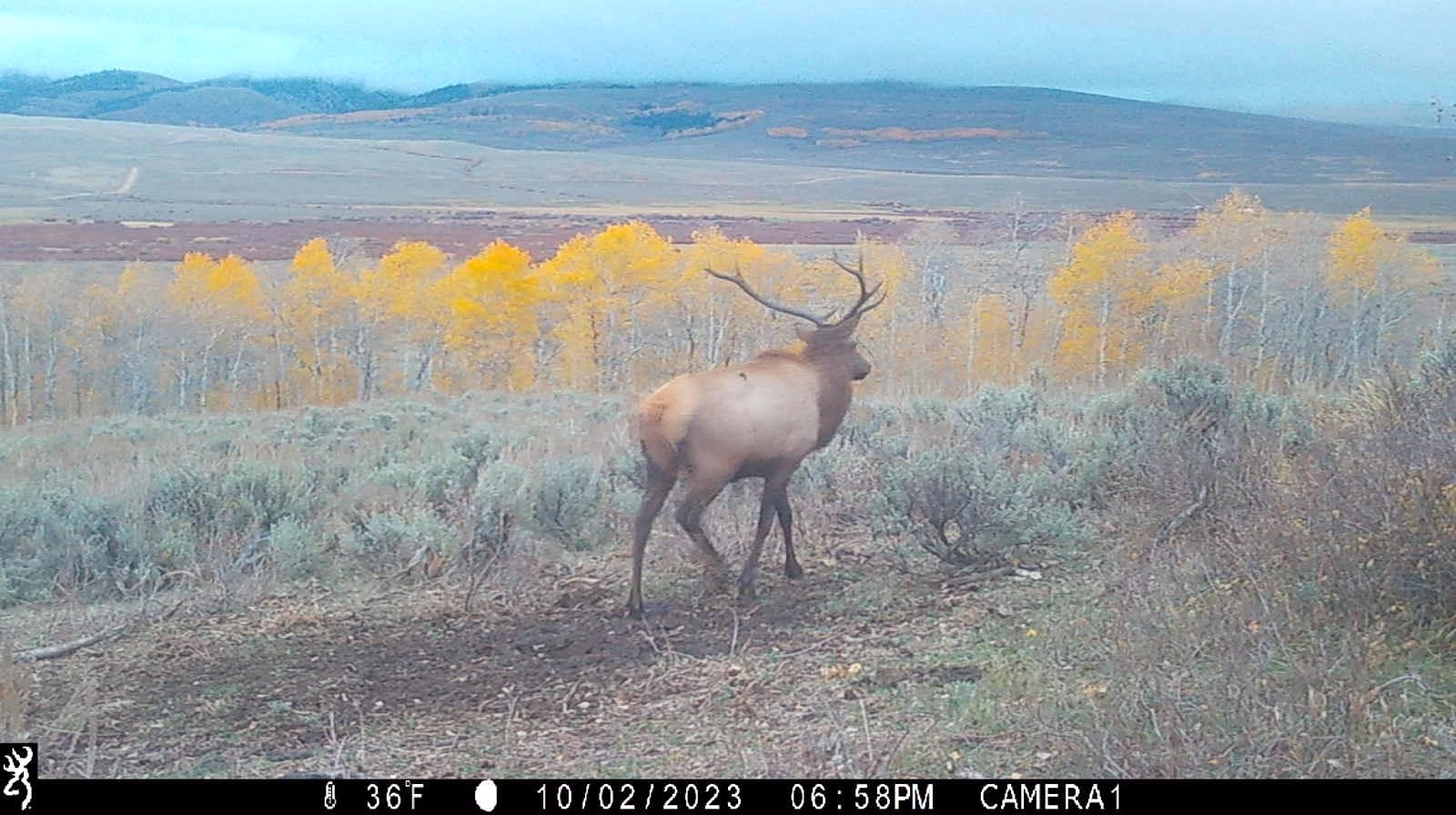 0 County Road 305 Kemmerer, WY 83101 - Photo 40 of 50