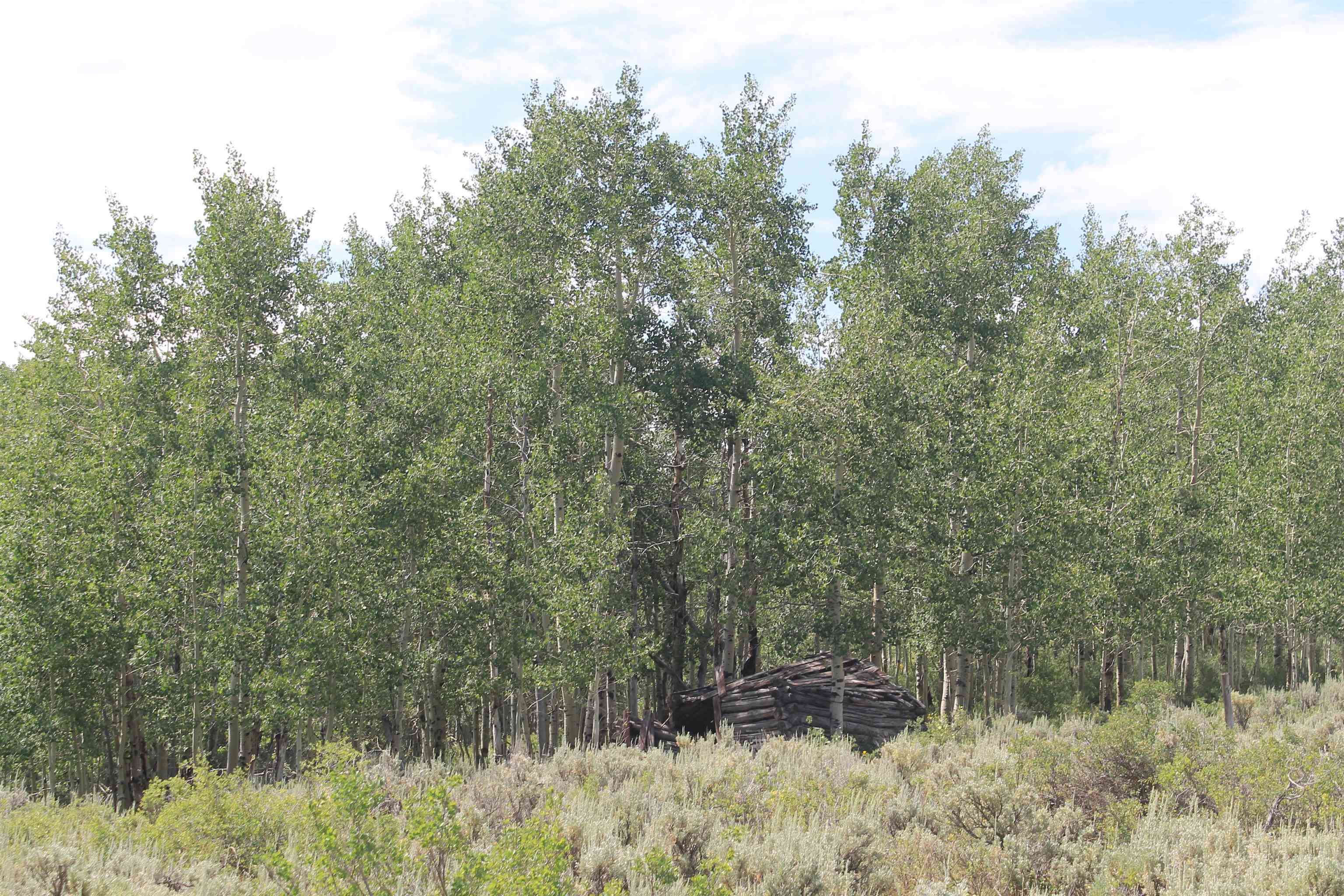 0 County Road 305 Kemmerer, WY 83101 - Photo 4 of 50