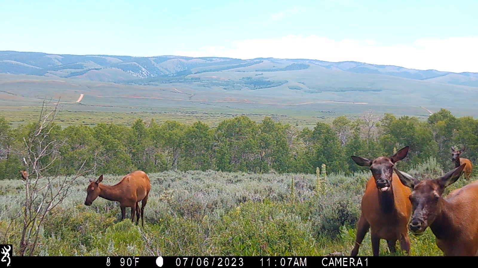 0 County Road 305 Kemmerer, WY 83101 - Photo 43 of 50