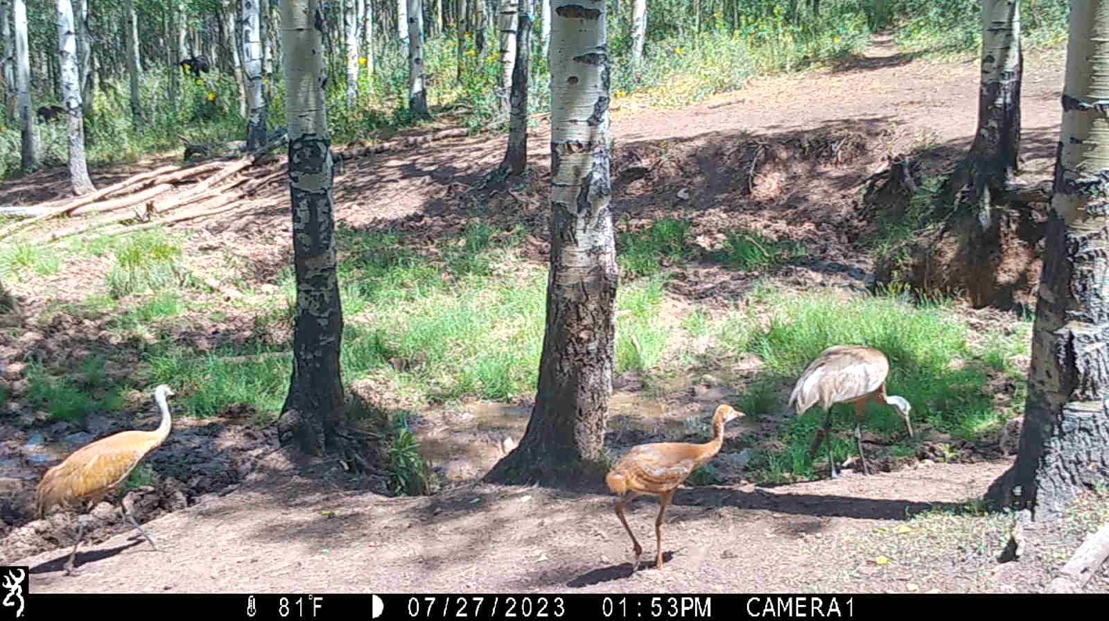 0 County Road 305 Kemmerer, WY 83101 - Photo 48 of 50