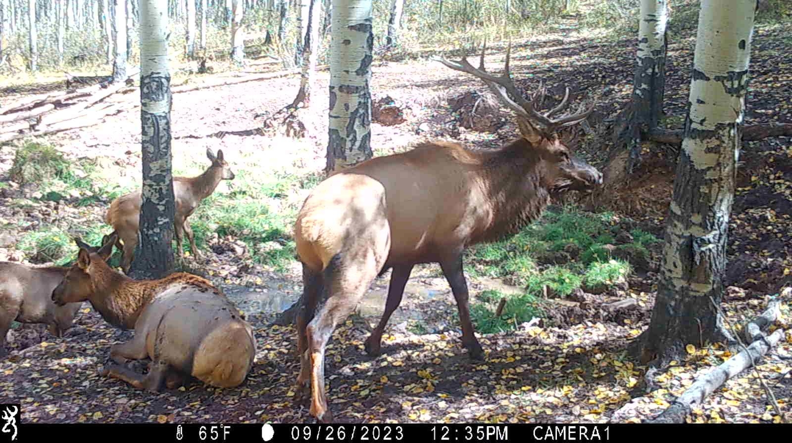0 County Road 305 Kemmerer, WY 83101 - Photo 50 of 50