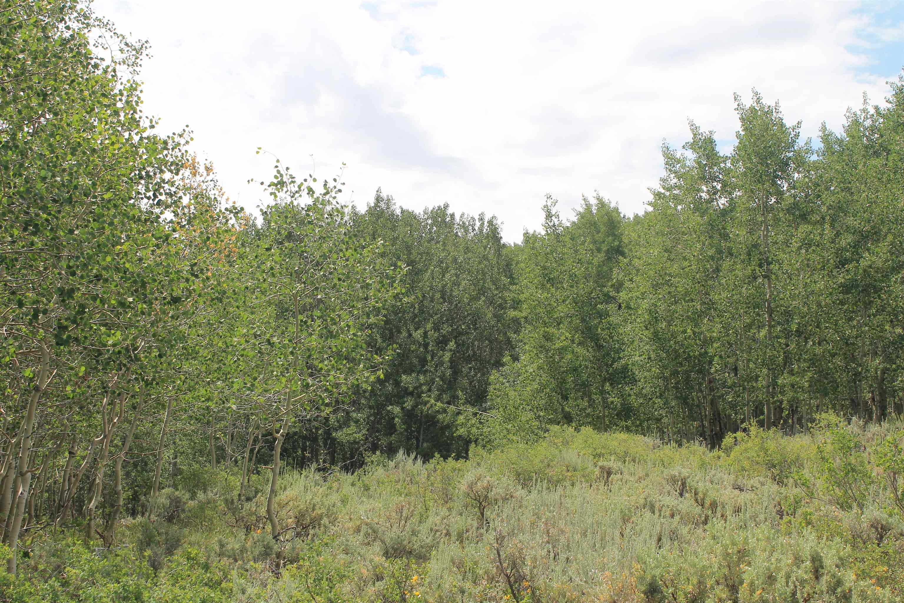 0 County Road 305 Kemmerer, WY 83101 - Photo 5 of 50