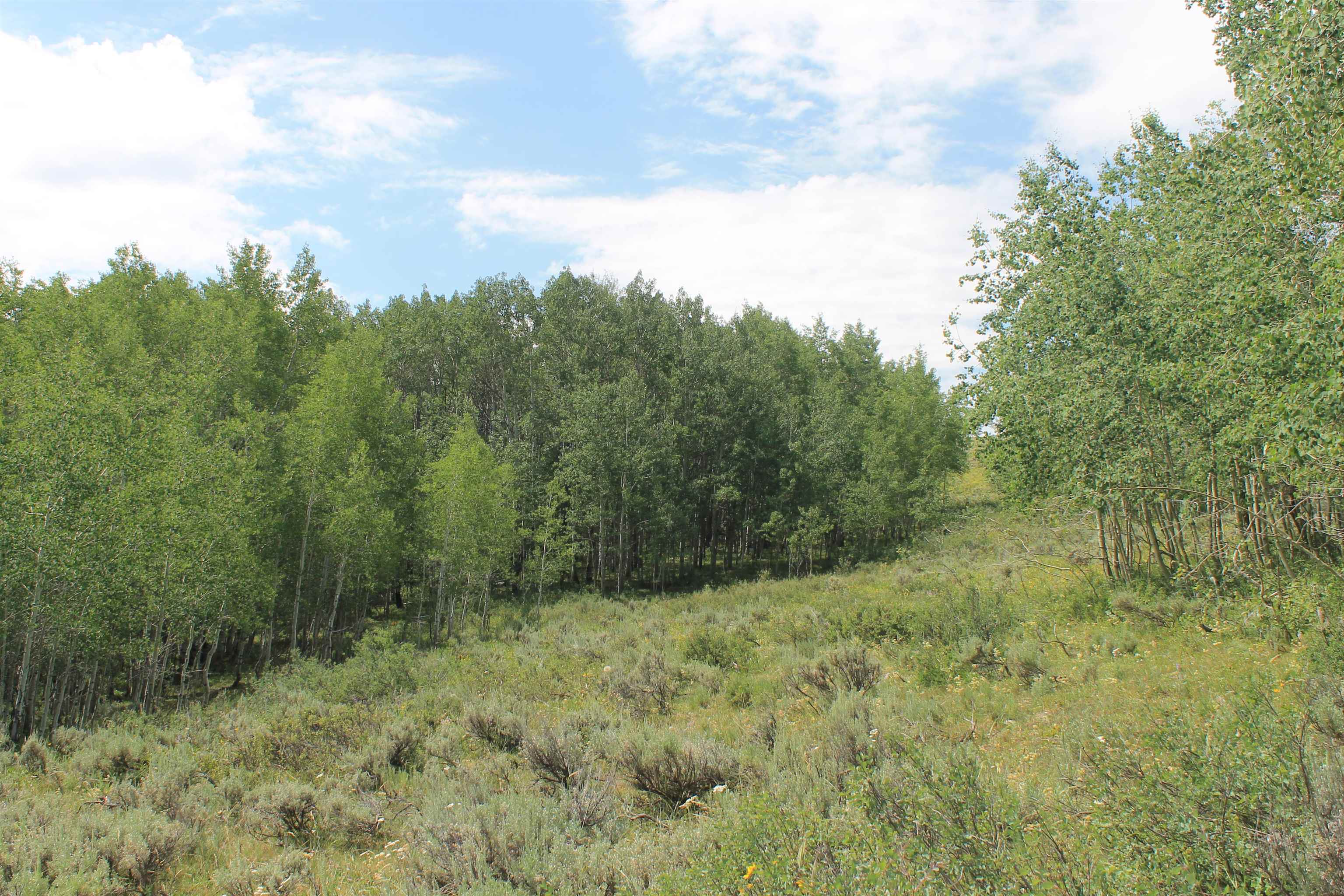 0 County Road 305 Kemmerer, WY 83101 - Photo 6 of 50