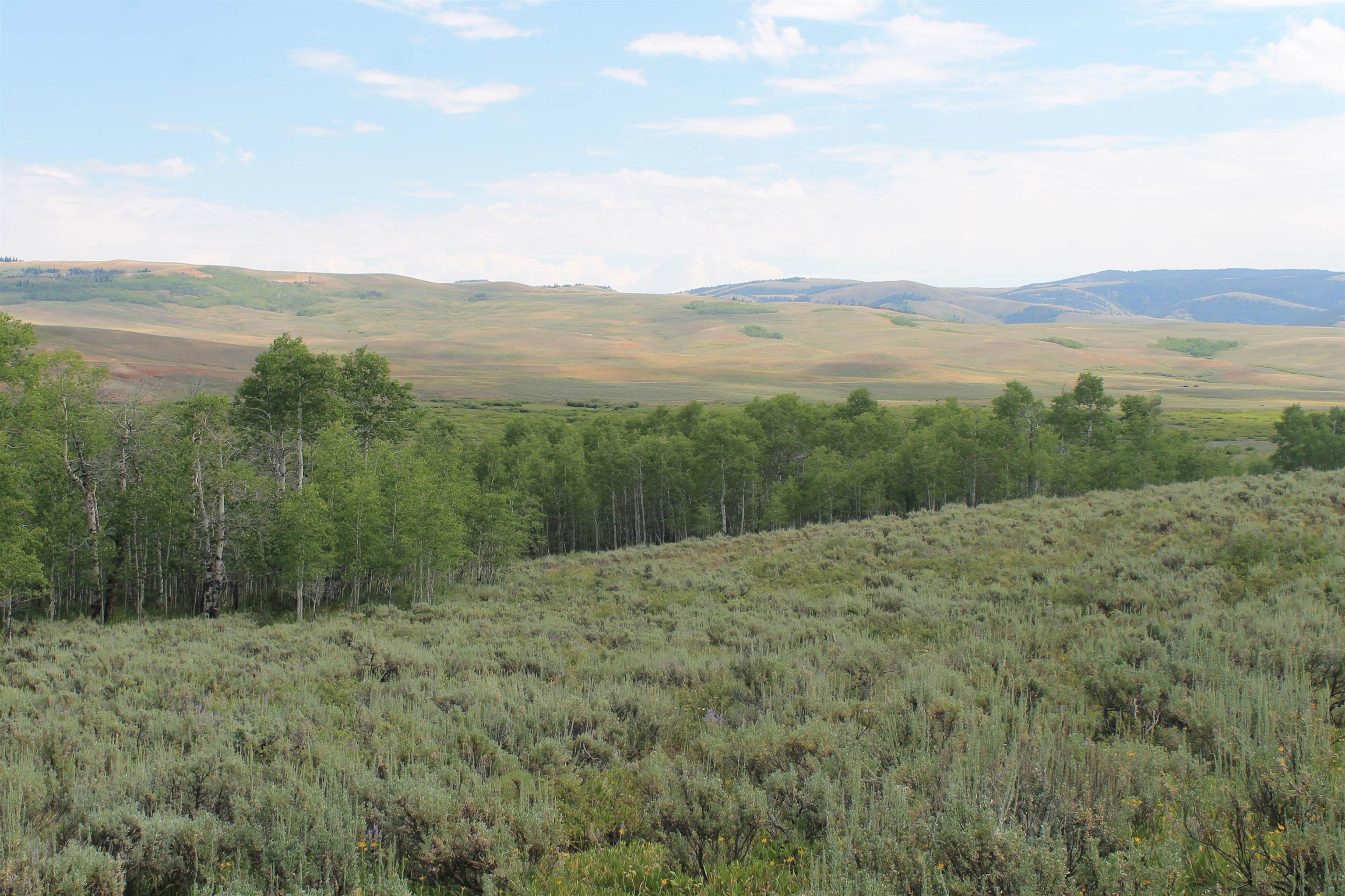 0 County Road 305 Kemmerer, WY 83101 - Photo 10 of 50