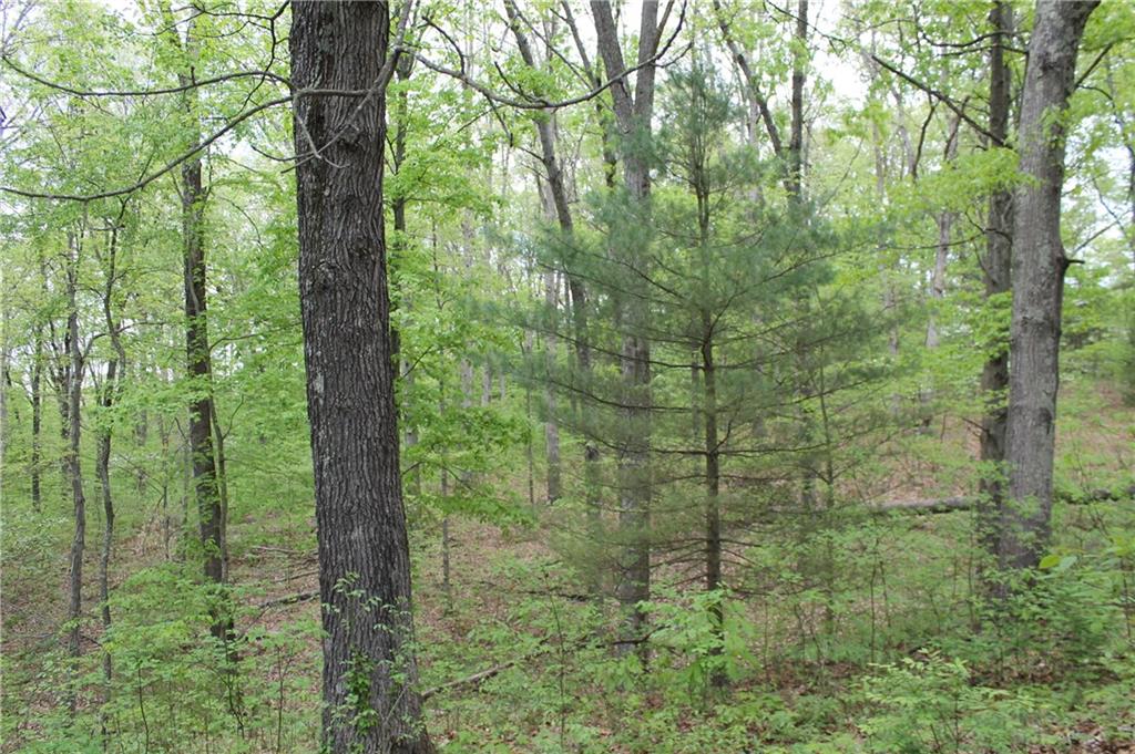 6087 Christianburg Road Columbus, IN 47201 - Photo 25 of 30