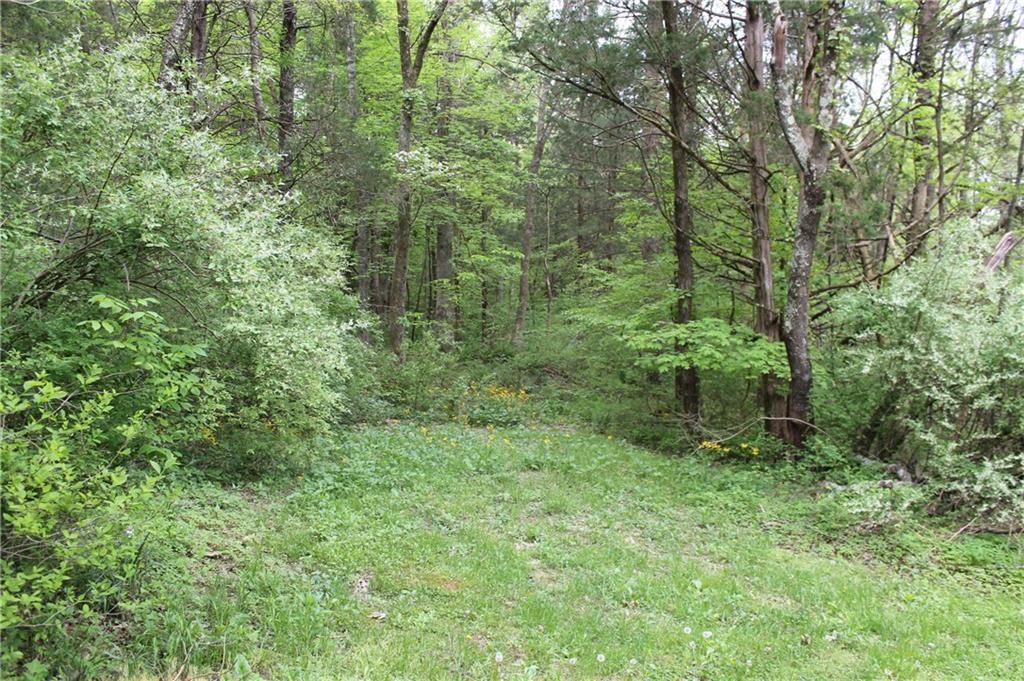 6087 Christianburg Road Columbus, IN 47201 - Photo 9 of 30