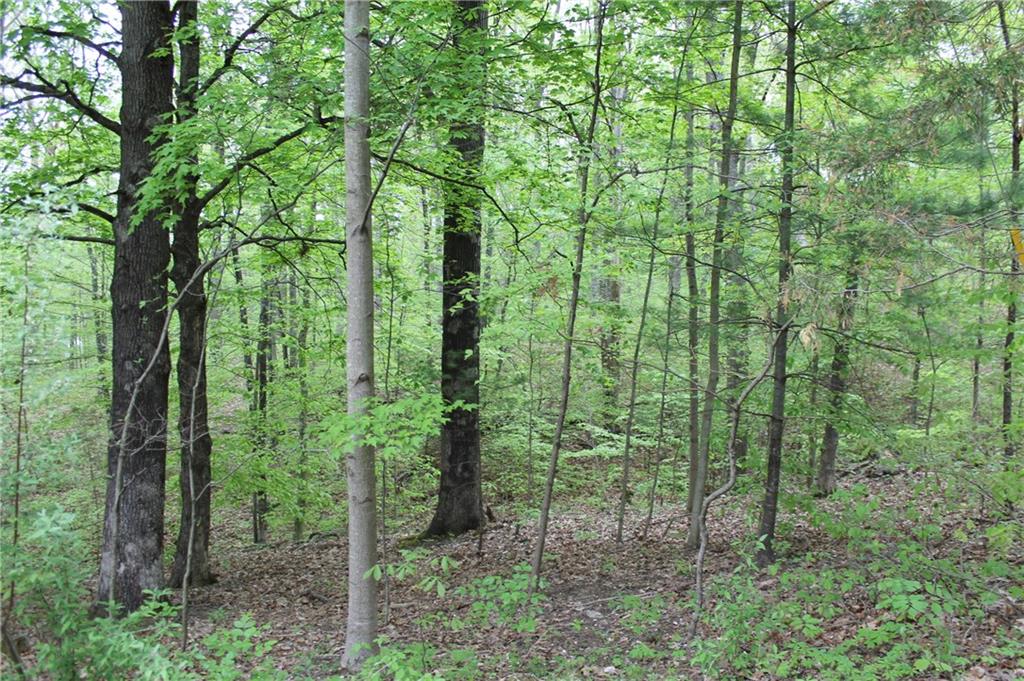 6087 Christianburg Road Columbus, IN 47201 - Photo 10 of 30