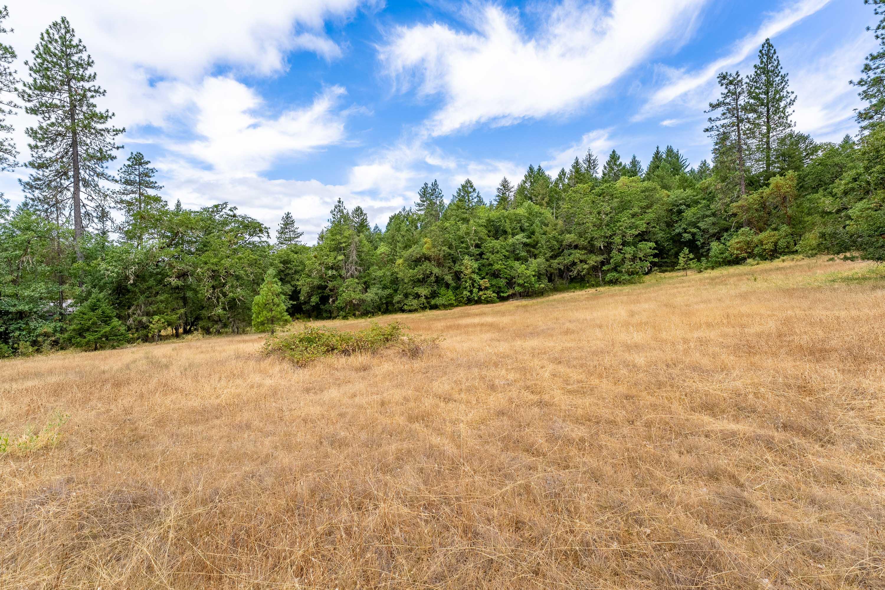 0 Happy Camp Road Cave Junction, OR 97523 - Photo 10 of 48 Pasture