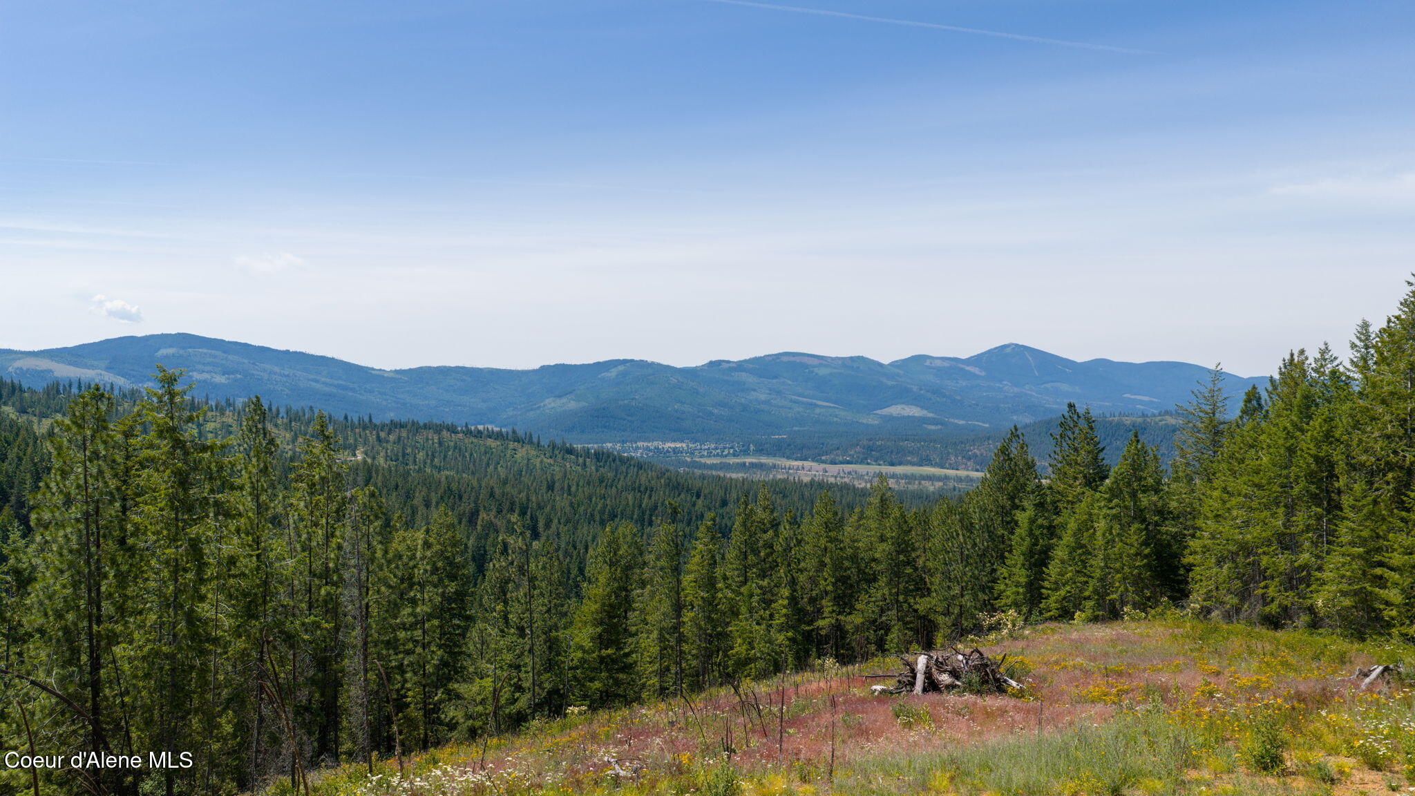 2089 Tower Mountain Road Blanchard, ID 83804 - Photo 13 of 35 19-web-or-mls-DJI_20260625110556_0002_D
