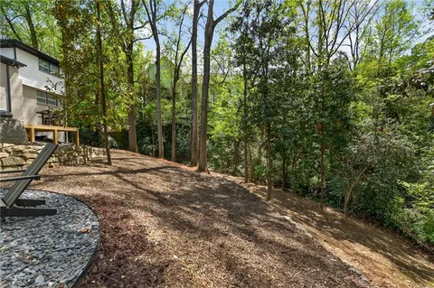 a view of a yard with plants and trees