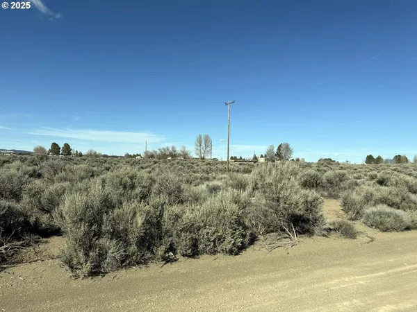 $5,000 | Hemlock Lane, Unit 700, Christmas Valley, OR 97641