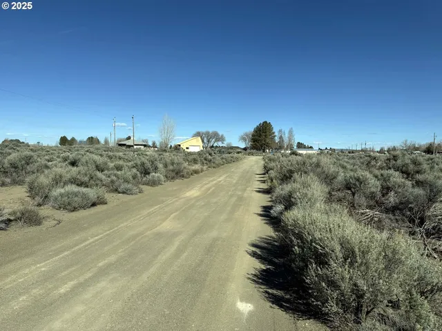 a view of a dry yard with trees