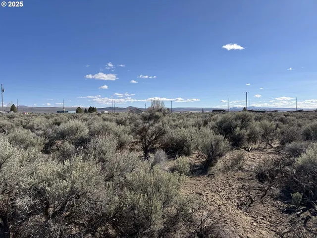 a view of a covered with trees in the background