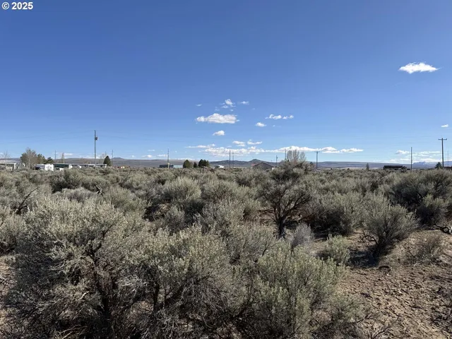 a view of a dry space with lots of trees