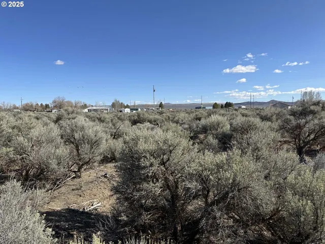 a view of a green field
