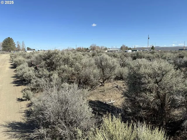 a view of a large building with a mountain in the background