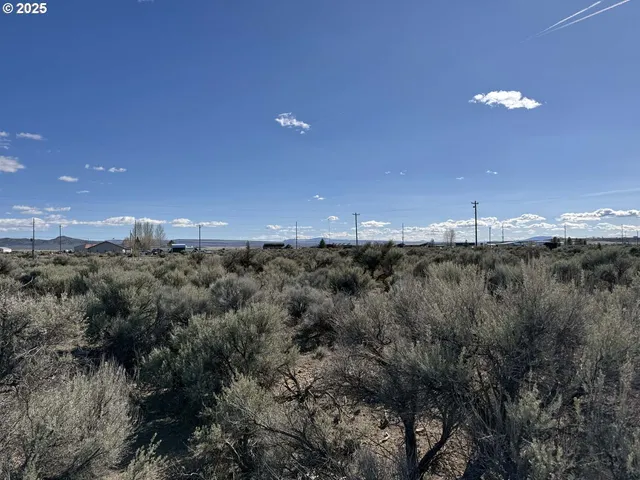 a view of a green field