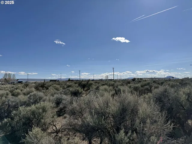 a view of a city and green space