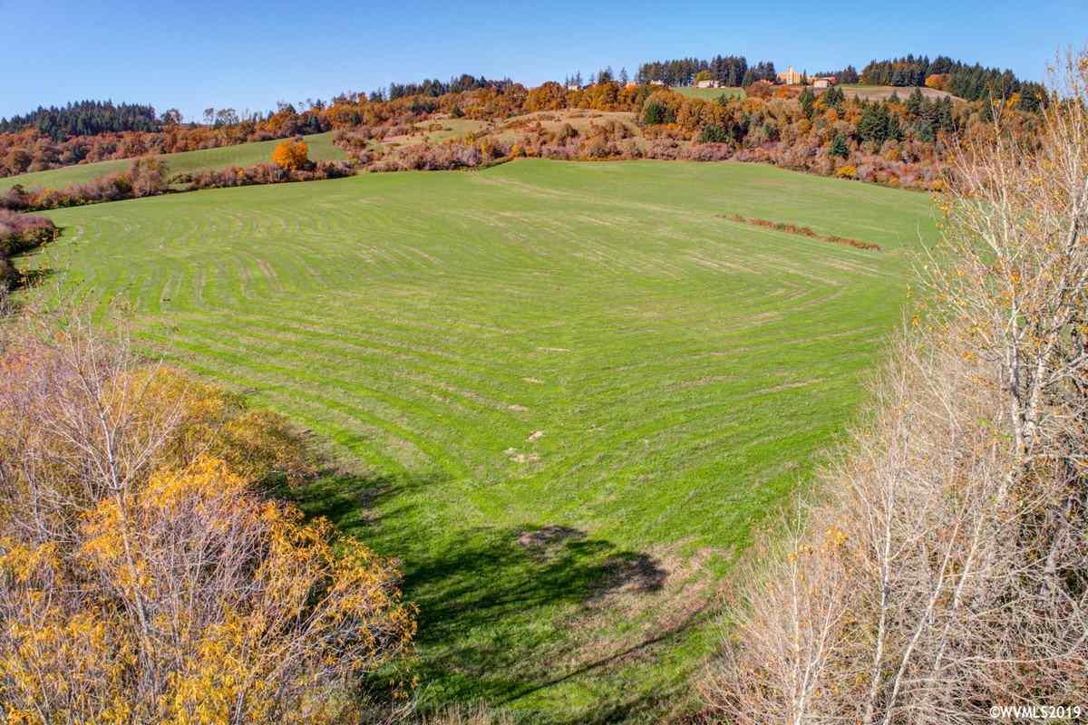 Southwest Pittman (lot 200) Road Sheridan, OR 97378 - Photo 6 of 13