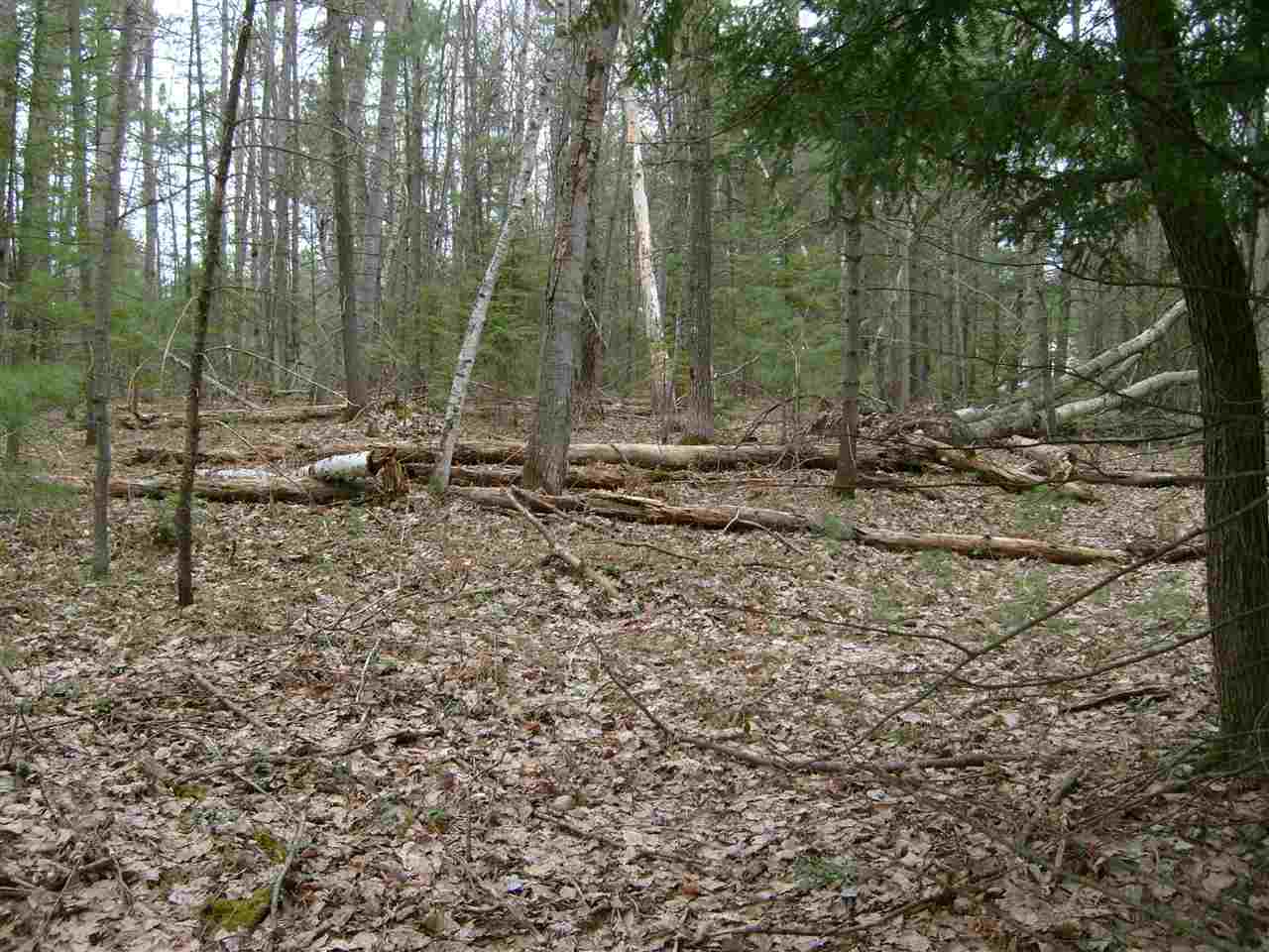 2151 West Log Lake Road Kalkaska, MI 49646 - Photo 49 of 53 1846708-48.JPG