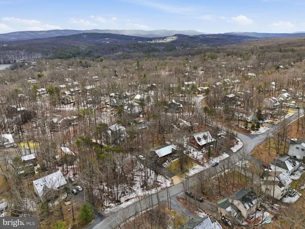 a view of outdoor space with garden and trees