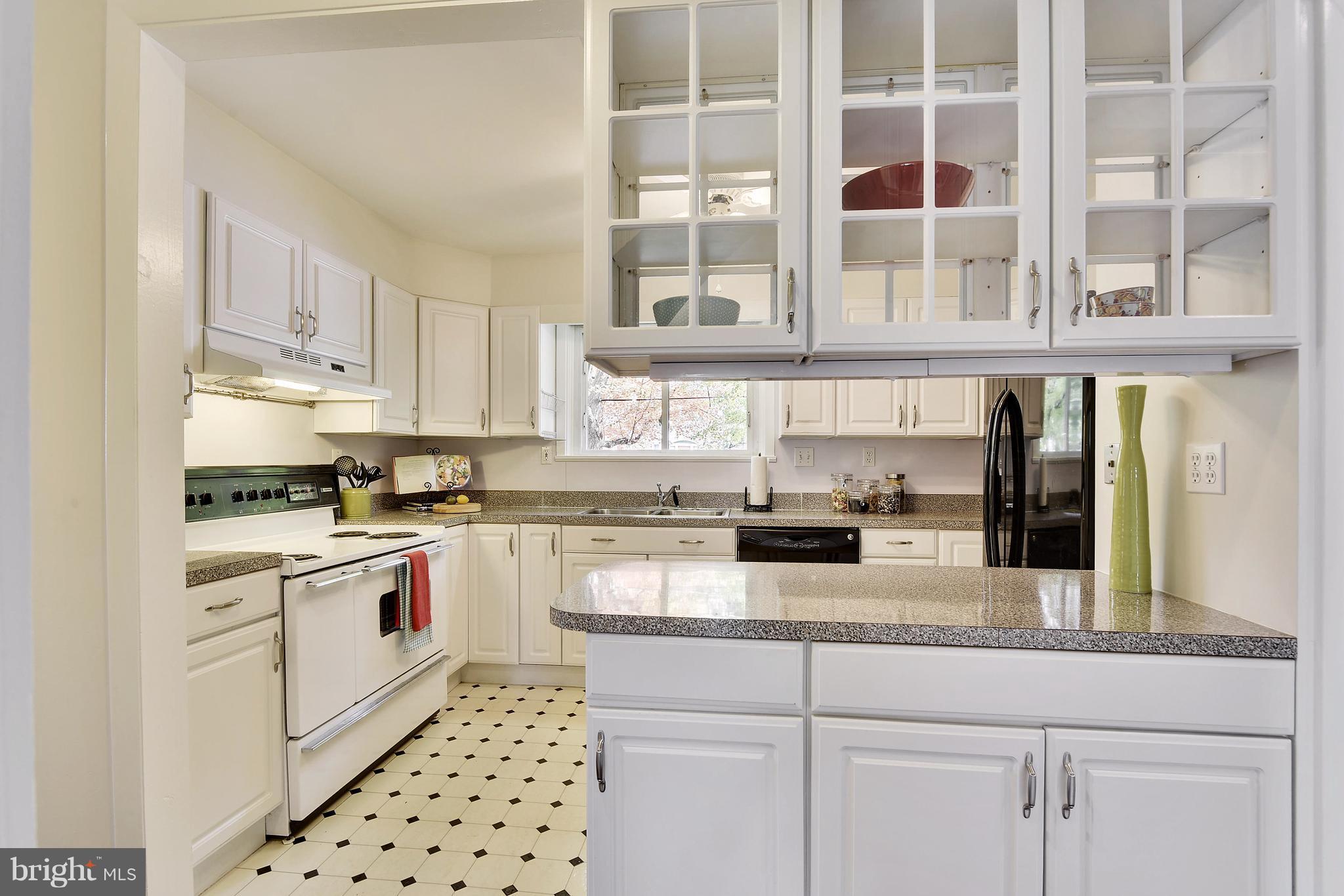 9906 Forest Grove Drive Silver Spring, MD 20902 - Photo 7 of 29 Kitchen