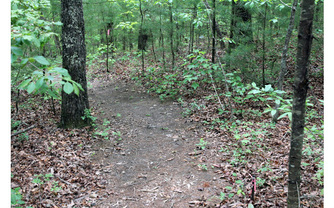 L40 Ridge Road Blue Ridge, GA 30513 - Photo 1 of 1 Main View