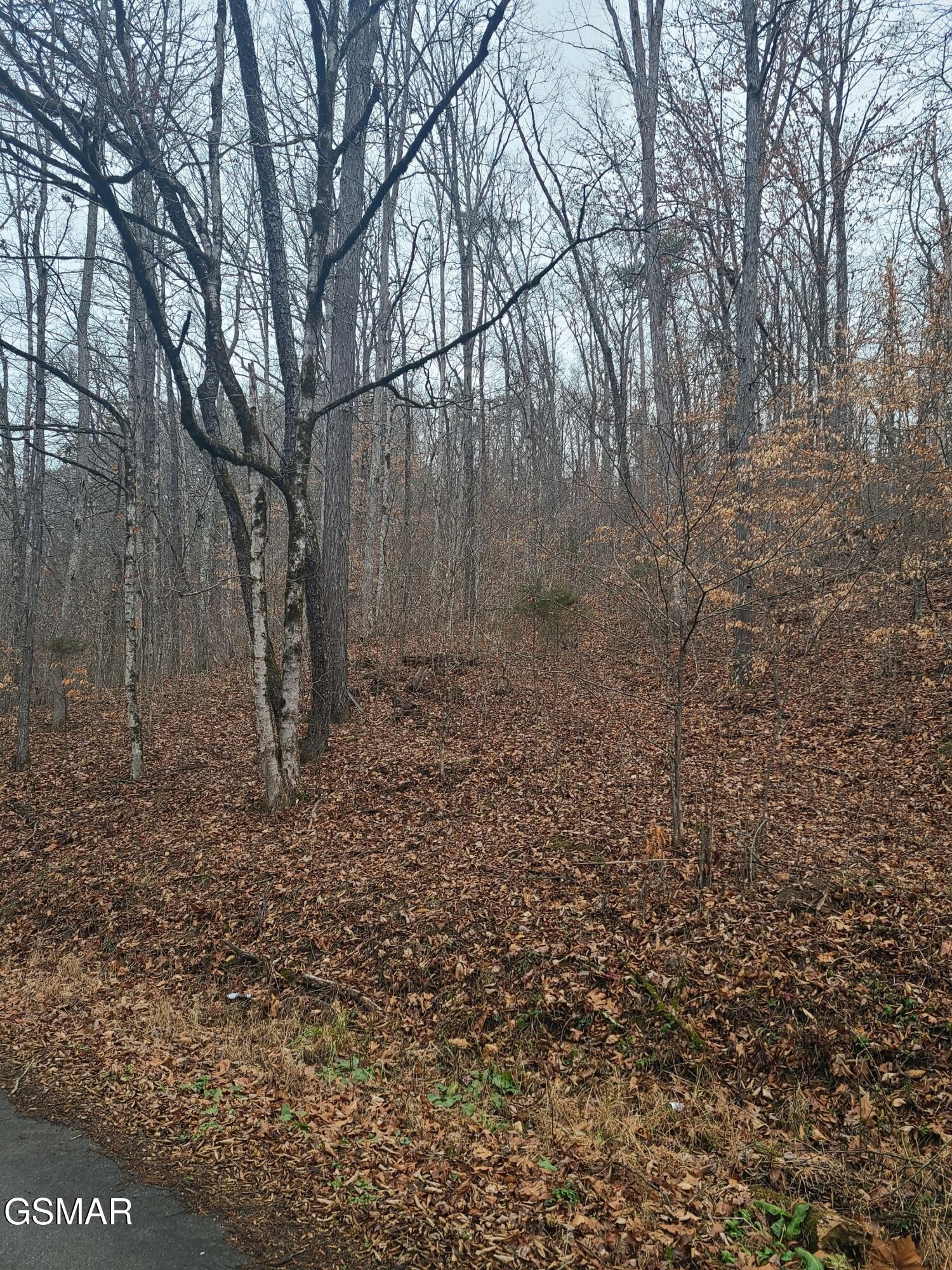 0 Keystown Road Luttrell, TN 37779 - Photo 4 of 5