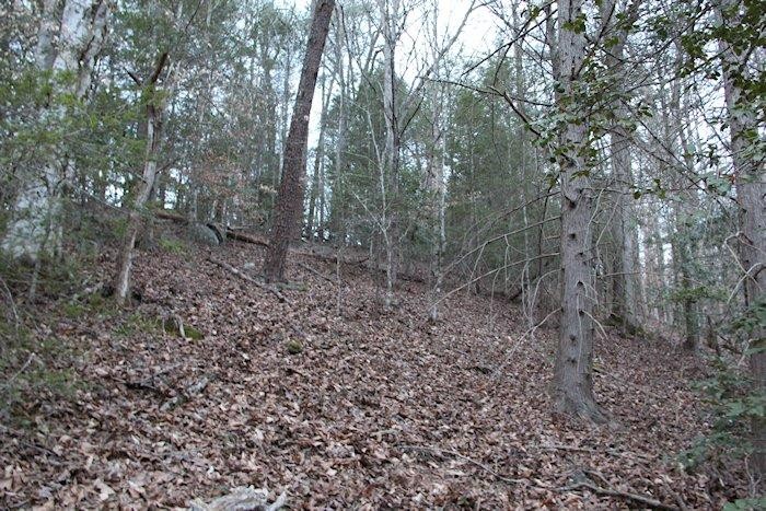 0 Parcel 058.00 Pearl Valley Road Sevierville, TN 37876 - Photo 10 of 13 Gallery Image 10