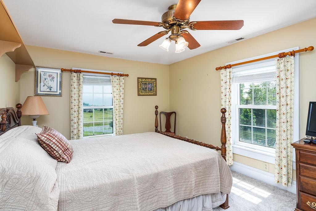 150 Ridgemore Drive Raphine, VA 24472 - Photo 44 of 75 a bedroom with a large bed and a window