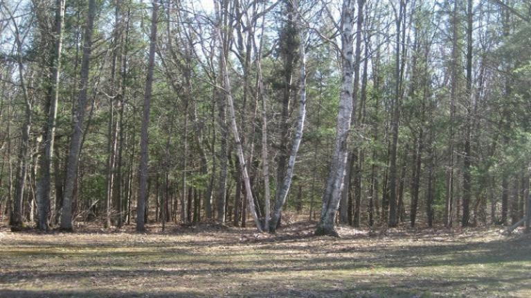 347 Polen Road Manistee, MI 49660 - Photo 18 of 19 Additional Photo