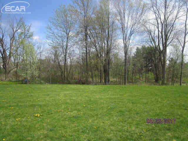 16379 Linden Road Linden, MI 48451 - Photo 7 of 23 21290416-6.JPG