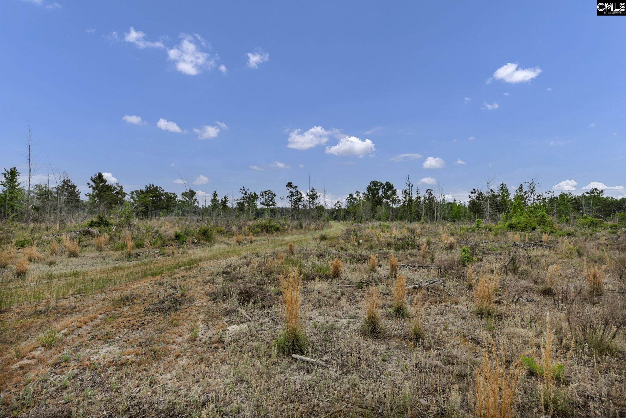 1244 Weston Road Hopkins, SC 29061 - Photo 63 of 67