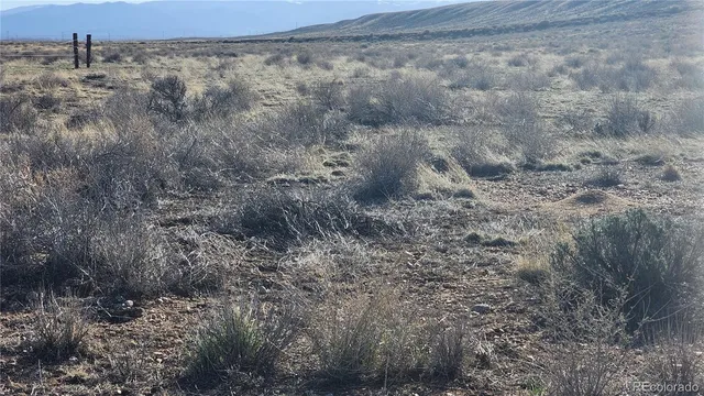 a view of a dry yard