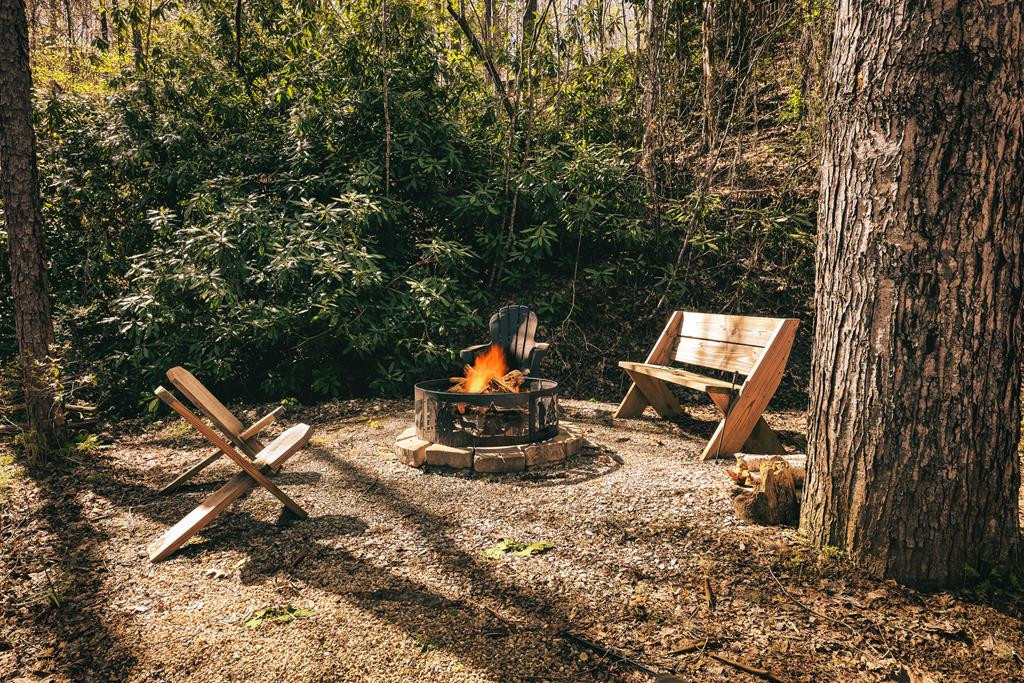 57 Rustys Ridge Bryson City, NC 28713 - Photo 73 of 74