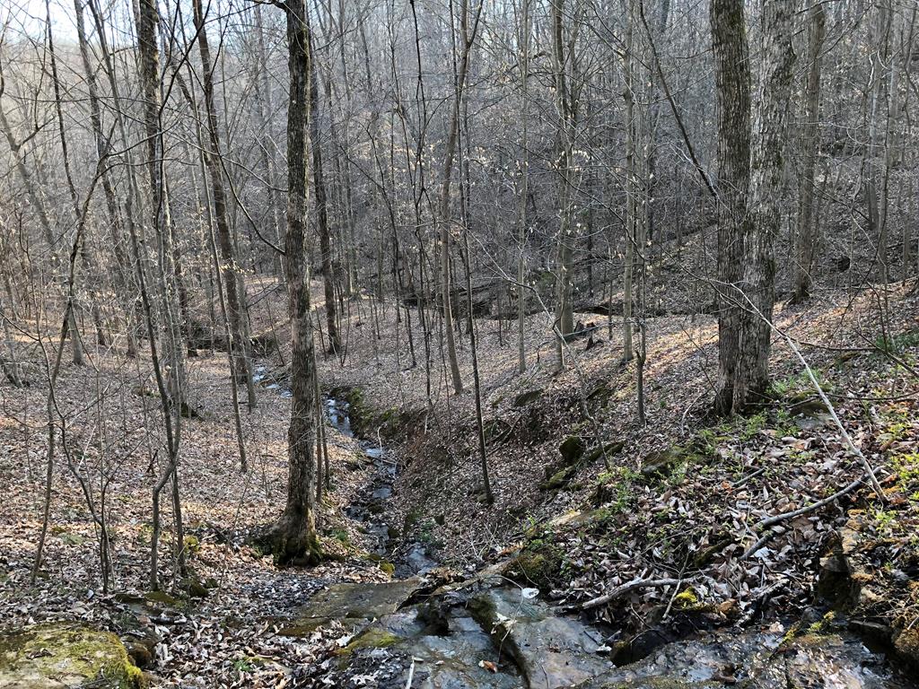 950 Johnney Harvey Road Breeding, KY 42715 - Photo 17 of 26 Gallery Image 17