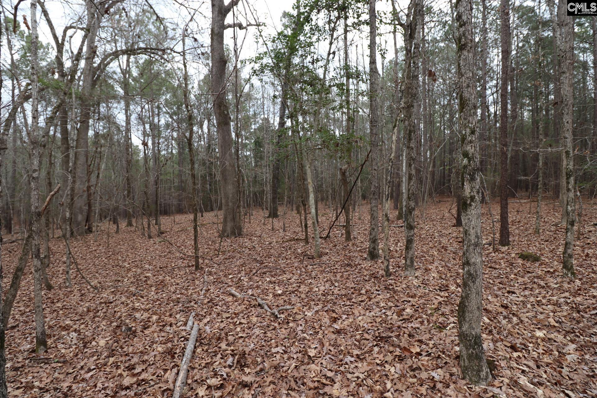 Lot 229 Granny Hill Road Prosperity, SC 29127 - Photo 59 of 61
