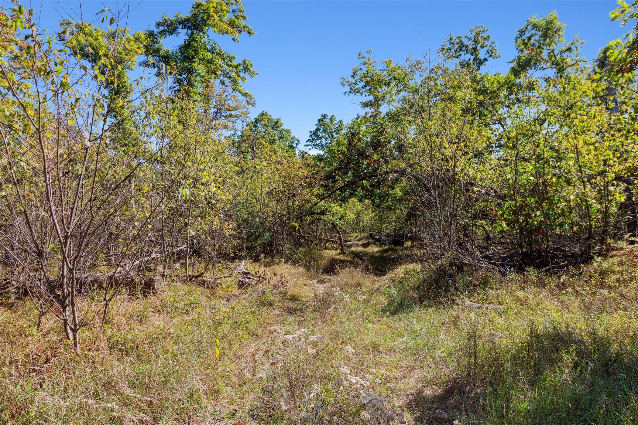 5594 South Peacock Trail Baldwin, MI 49304 - Photo 48 of 54 39-5594-S-Peacock-Trail-Baldwin-MI-49304