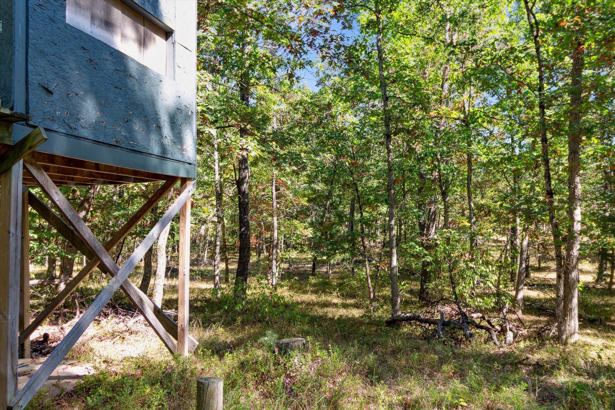 5594 South Peacock Trail Baldwin, MI 49304 - Photo 50 of 54 41-5594-S-Peacock-Trail-Baldwin-MI-49304