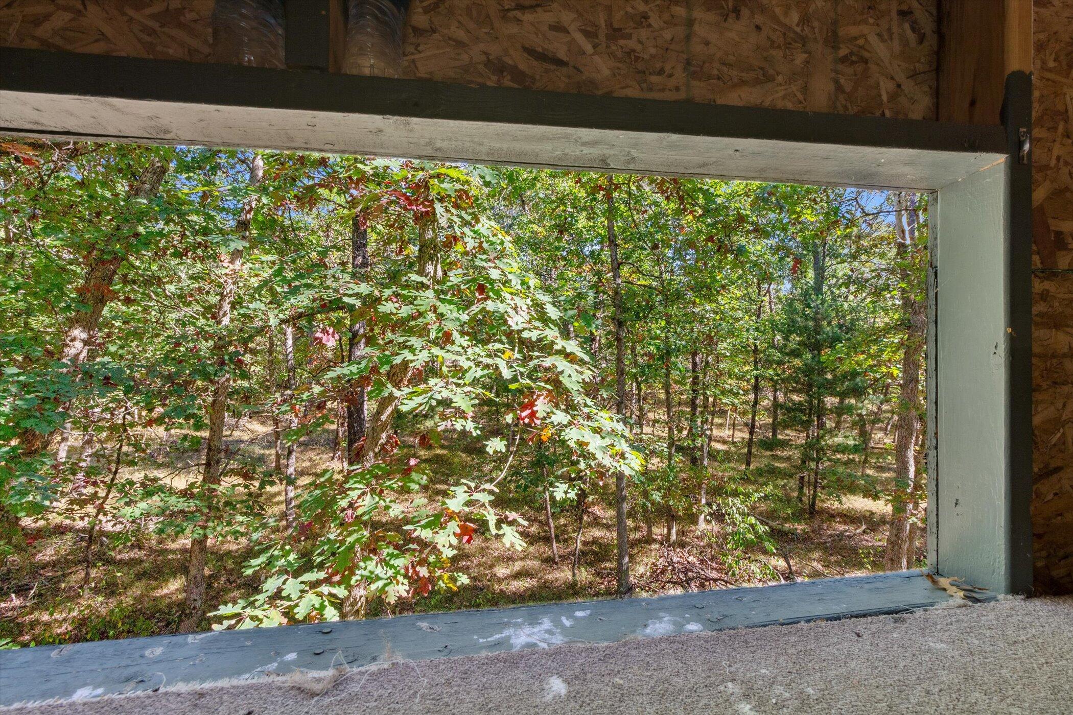 5594 South Peacock Trail Baldwin, MI 49304 - Photo 52 of 54 43-5594-S-Peacock-Trail-Baldwin-MI-49304