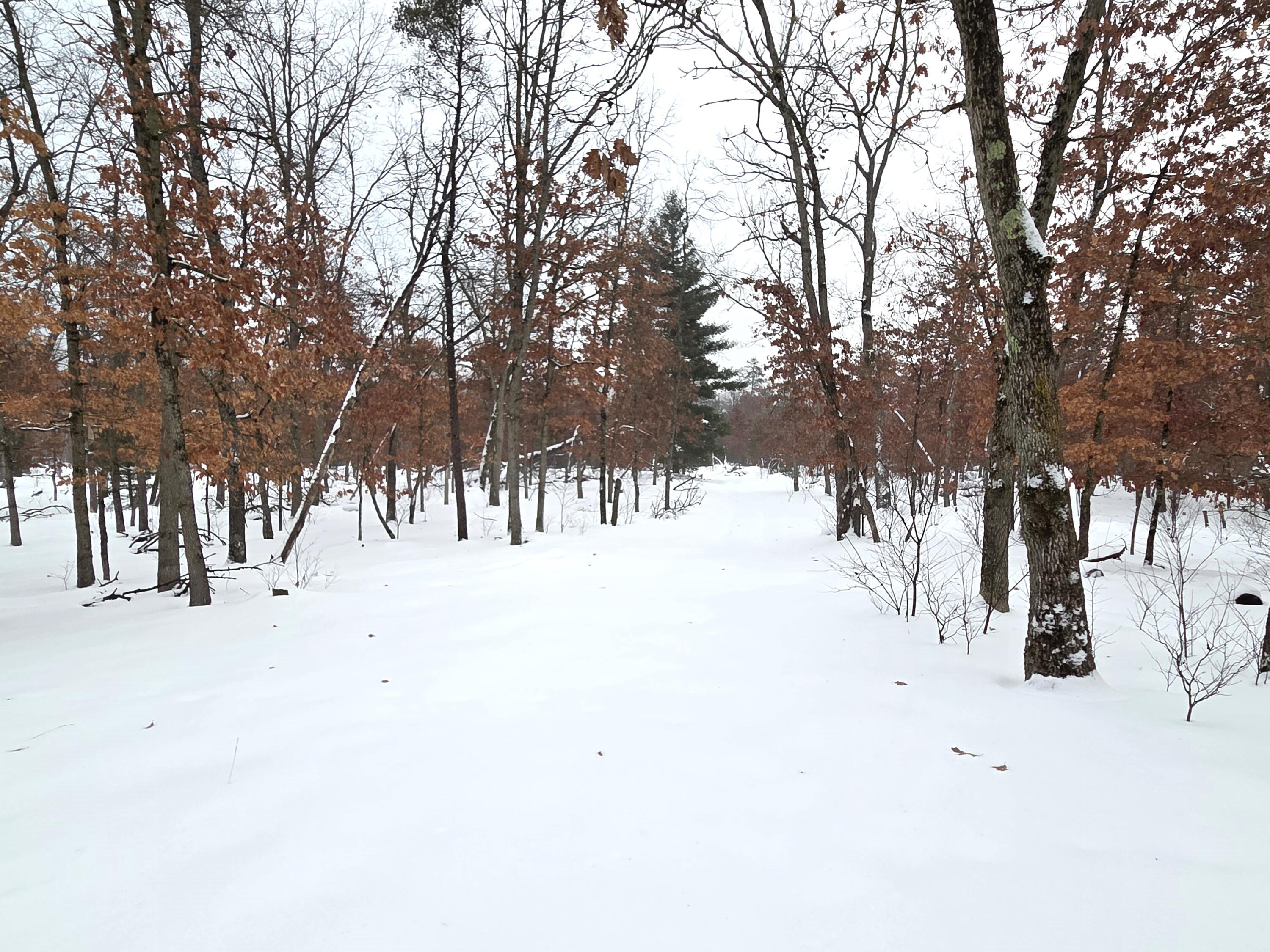 5594 South Peacock Trail Baldwin, MI 49304 - Photo 9 of 54 20260106_092217