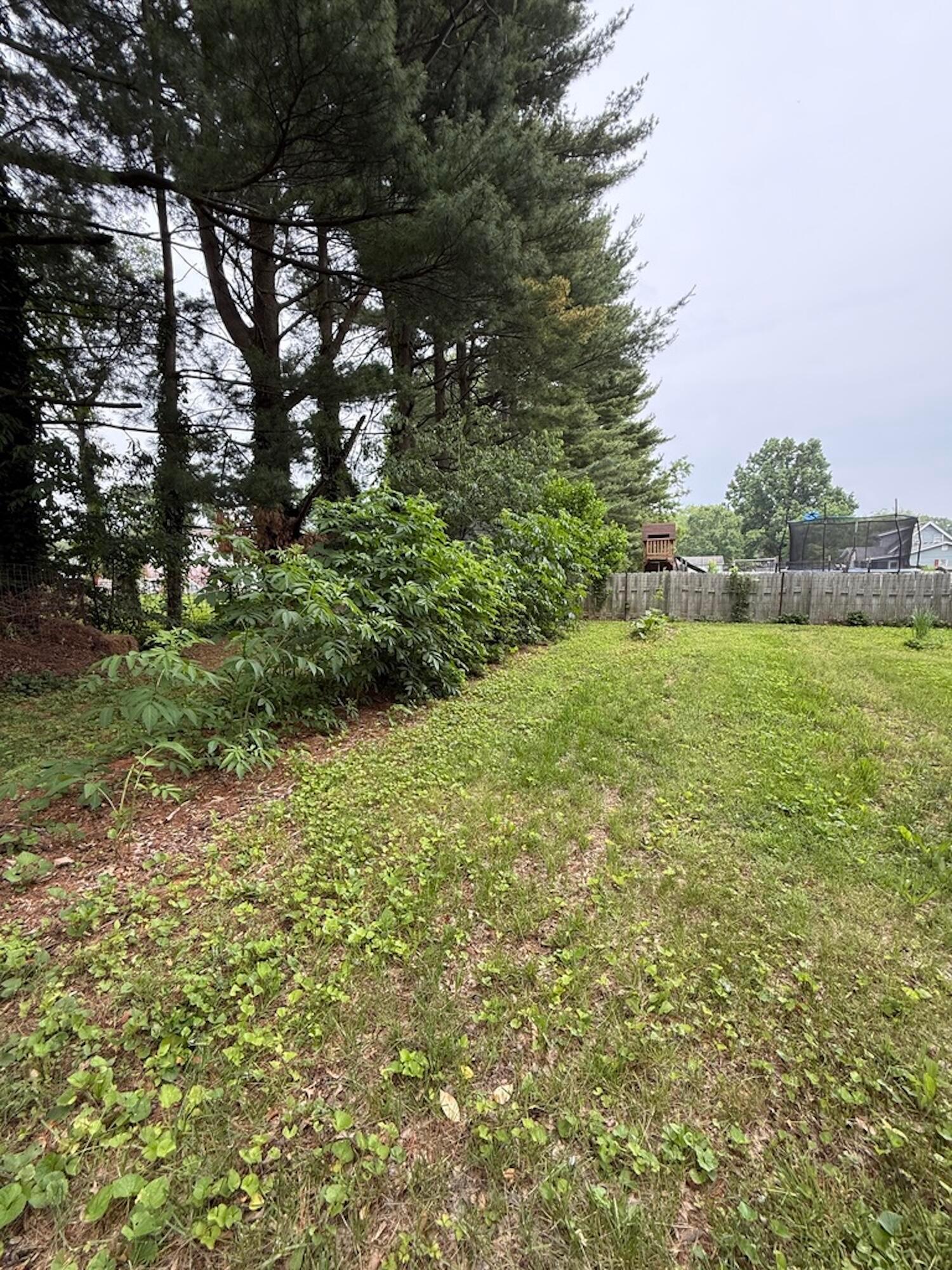 308 Lockville Road Pickerington, OH 43147 - Photo 22 of 24 Elderberry