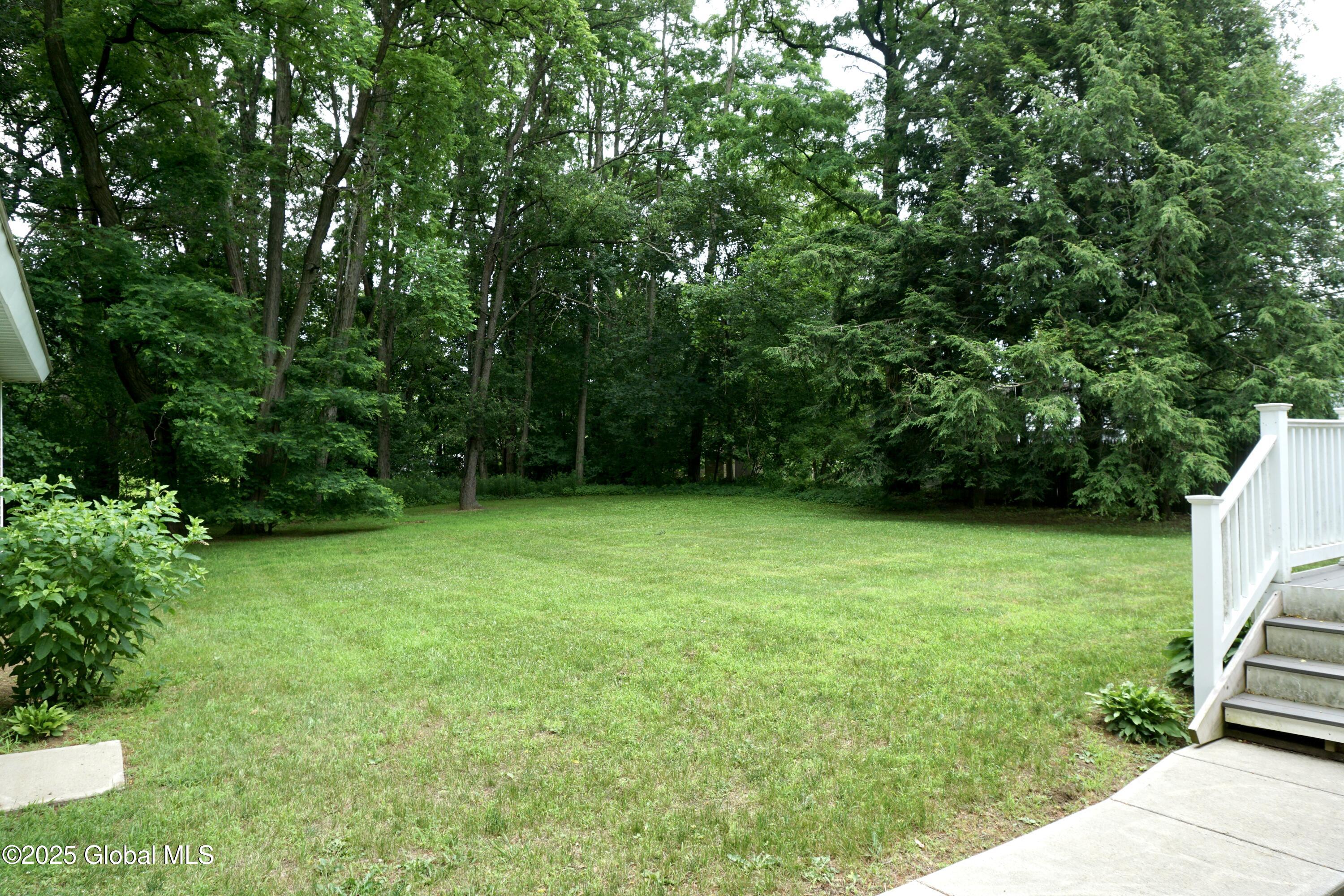 171 Consaul Road Colonie, NY 12205 - Photo 8 of 22 Backyard